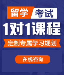 日b干b操b51网留学考试一对一精品课